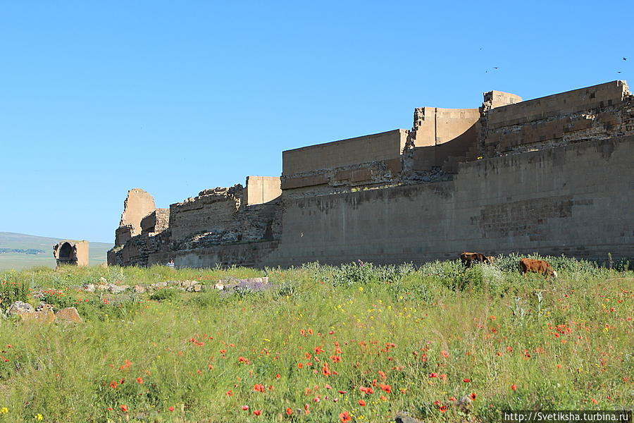 Древняя столица Армении на грани исчезновения Ани, Турция