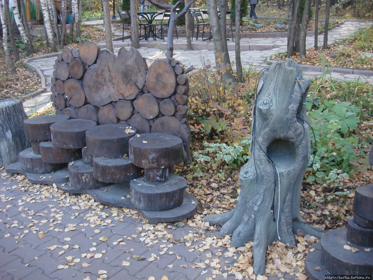 Новости из зоопарка Новосибирск, Россия