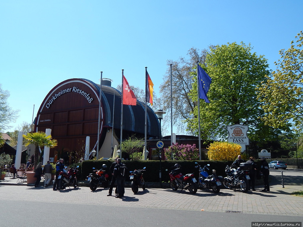 Перед Гигантской бочкой находится гигантская площадь, на которой в сентябре проходит ярмарка, в другое время там разрешена парковка Бад-Дюркхайм, Германия