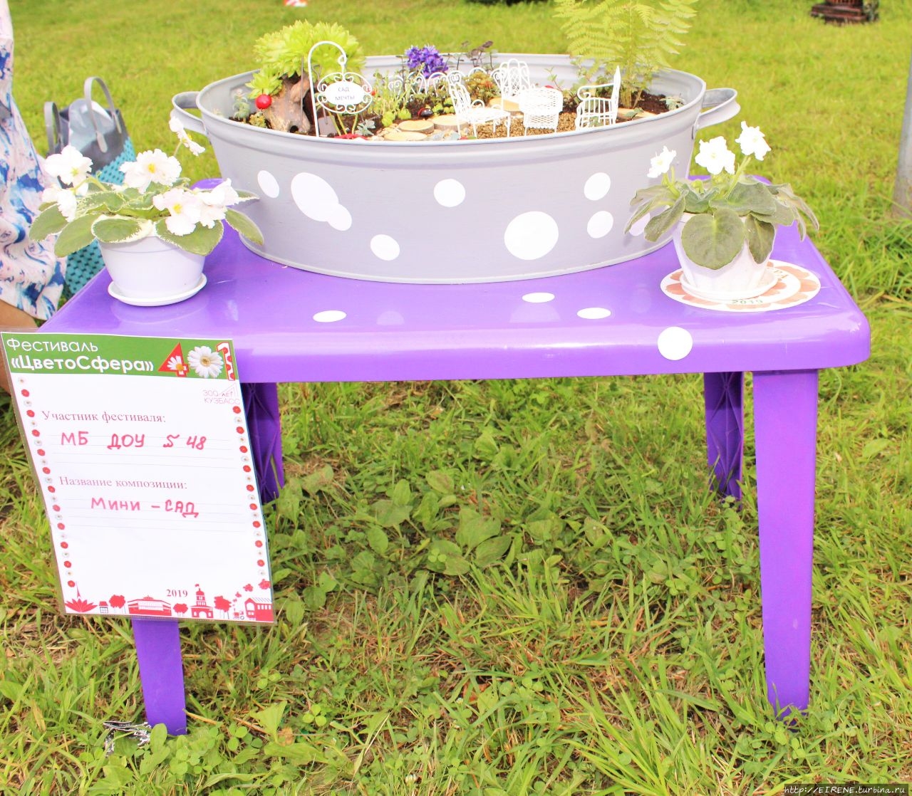 Прошлым летом, в цветочном городе. Новокузнецк, Россия