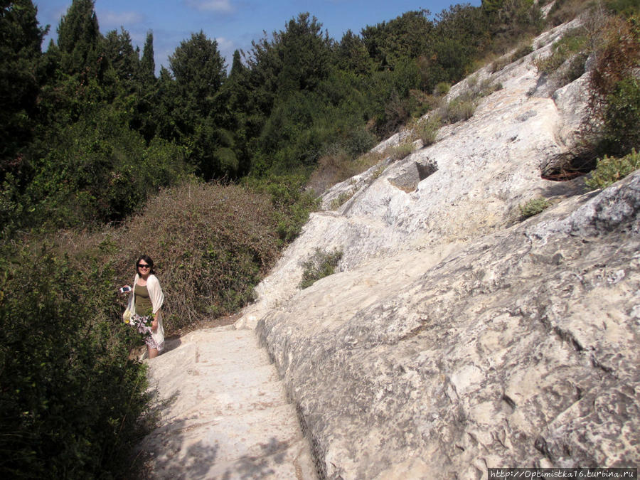 В поисках пещеры пророка Илии... Хайфа, Израиль