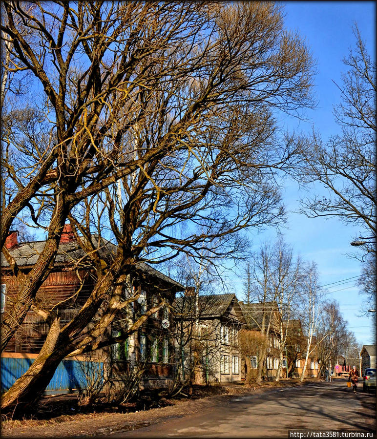 Малая вишера фотографии