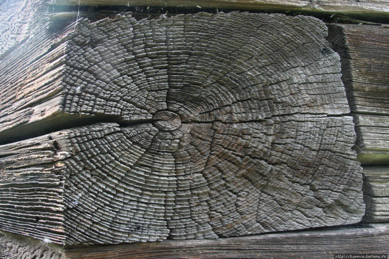 Сильное Василёво Василево, Россия