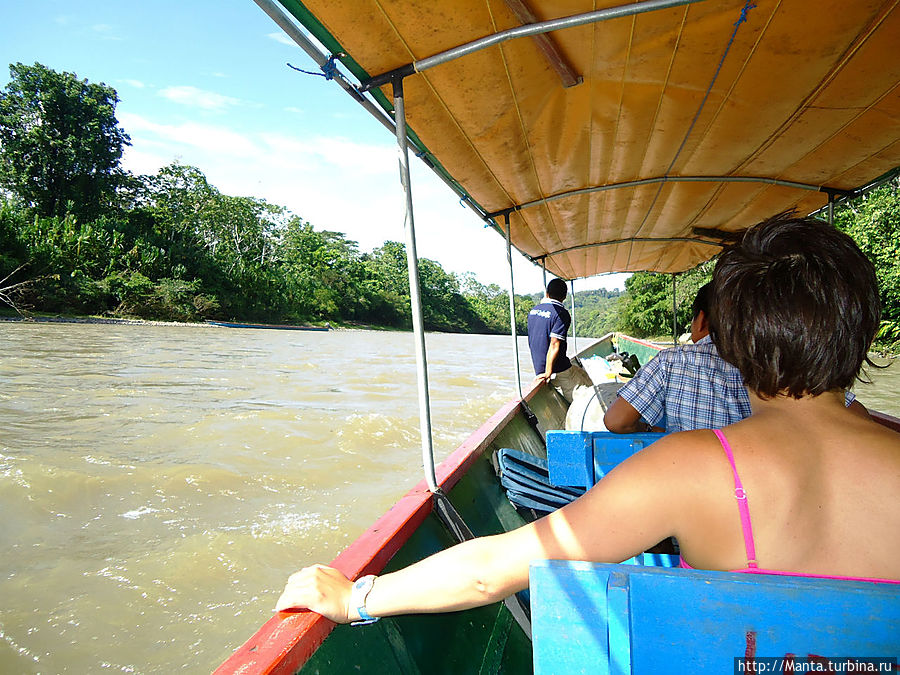 АмаЗоонико — центр спасения животных в Амазонии Тена, Эквадор