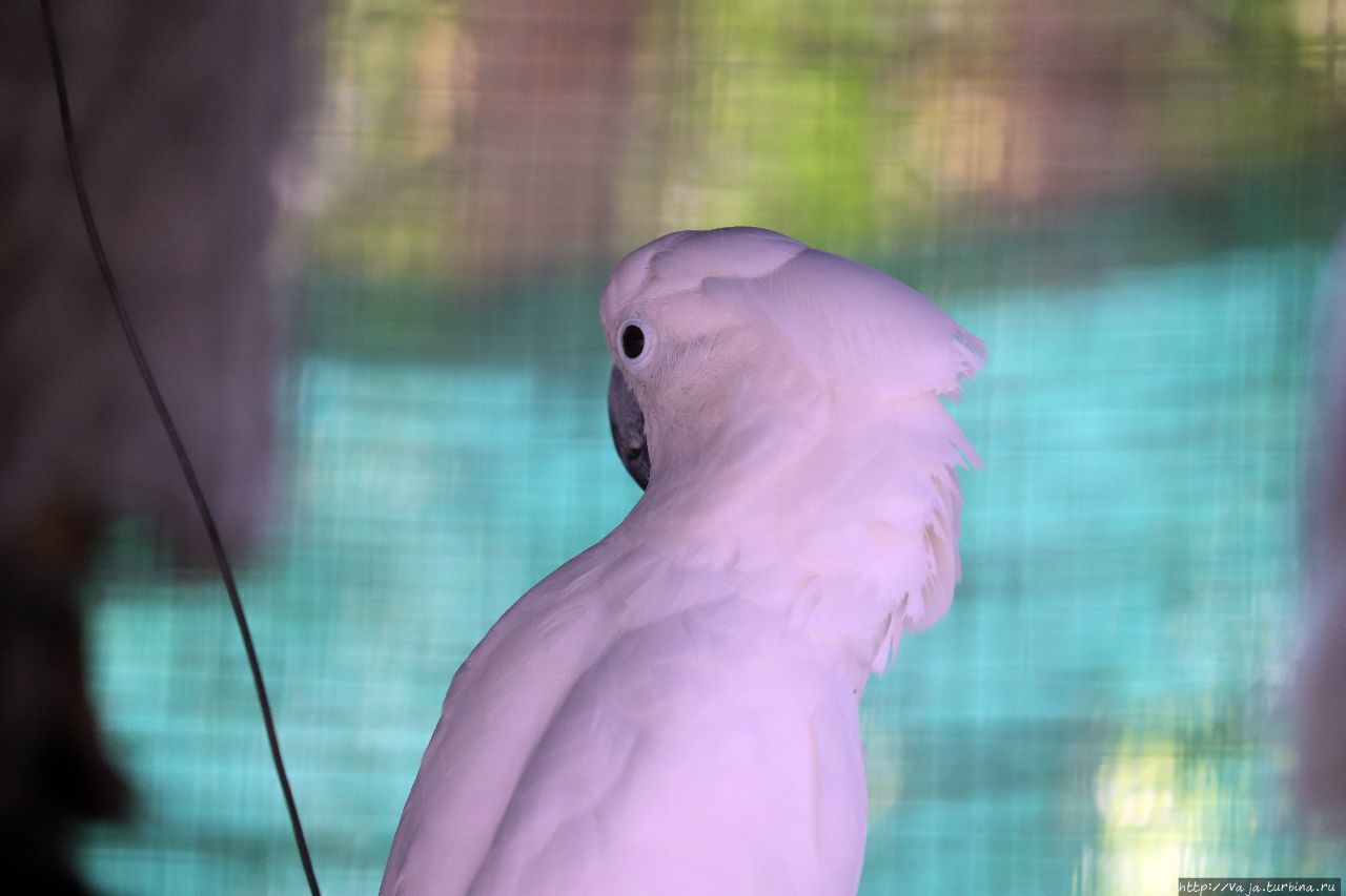 Зоопарк Янгона Янгон, Мьянма