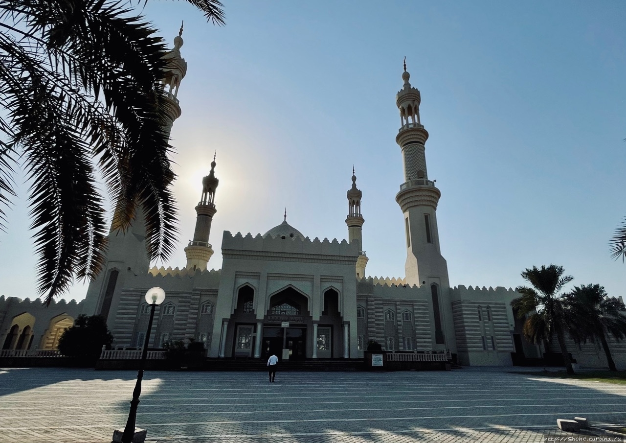 Мечеть Шейха Зайеда / Sheikh Zayed Mosque