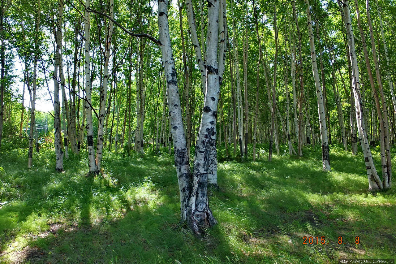 Моя незабвенная Камчатка летом Петропавловск-Камчатский, Россия