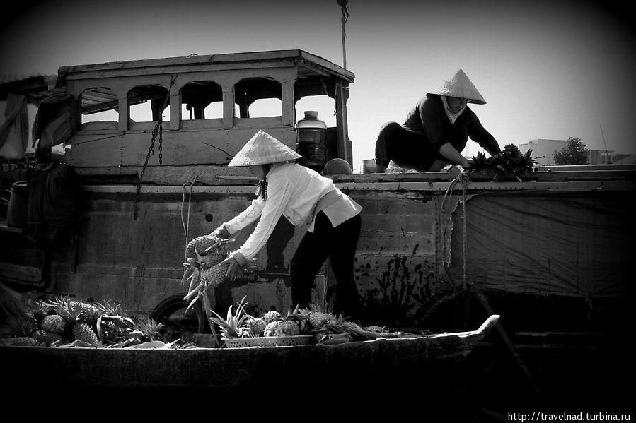 Экскурсия по Меконгу, который без стеснений принимает жертвы Кантхо, Вьетнам