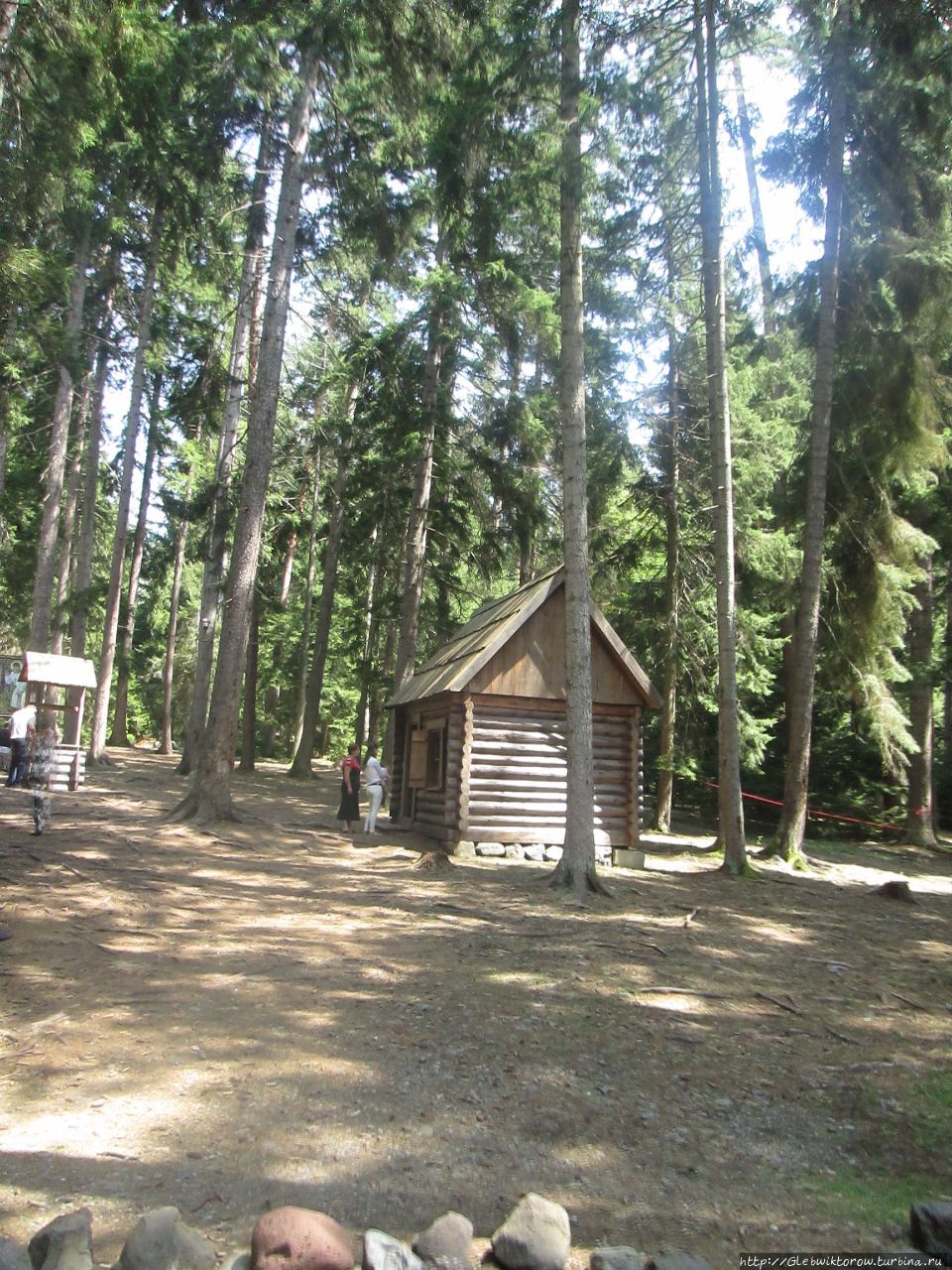 Прогулка по плато Боржоми Боржоми, Грузия