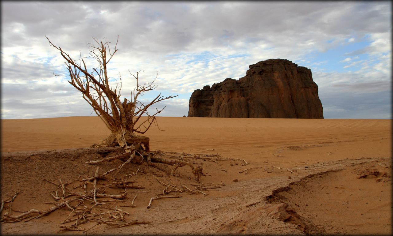 Алжирская Сахара, день четвёртый — вечеринка в пустыне Тассилин-Адджер Национальный Парк, Алжир
