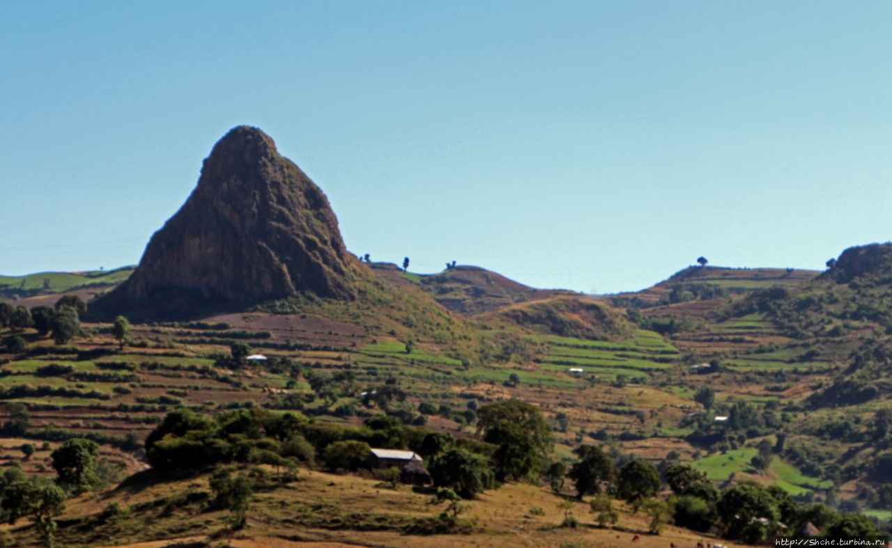 Эфиопские картинки. Центр региона Амхара — житница страны Регион Амхара, Эфиопия