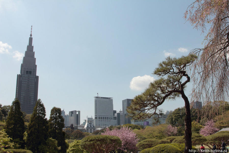 Shinjuku gyoen Токио, Япония