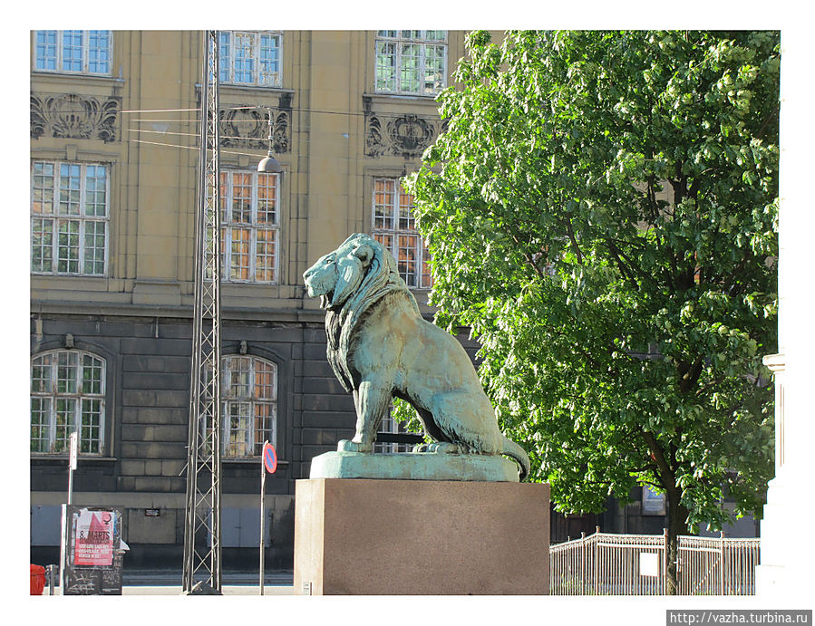 Одинокий Лев