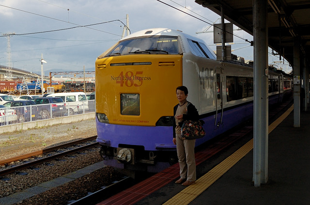 Поездка на пяти японских поездах, или Тояма, то канава :) Япония