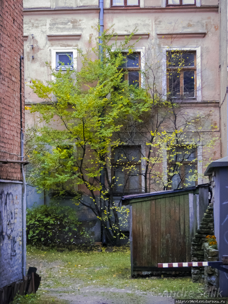 Осенние зарисовки на компактную камеру Рига, Латвия
