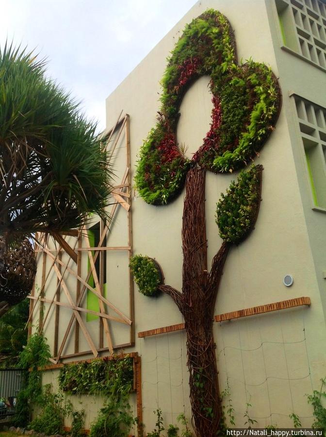 В школьном дворе Сен-Дени, Реюньон