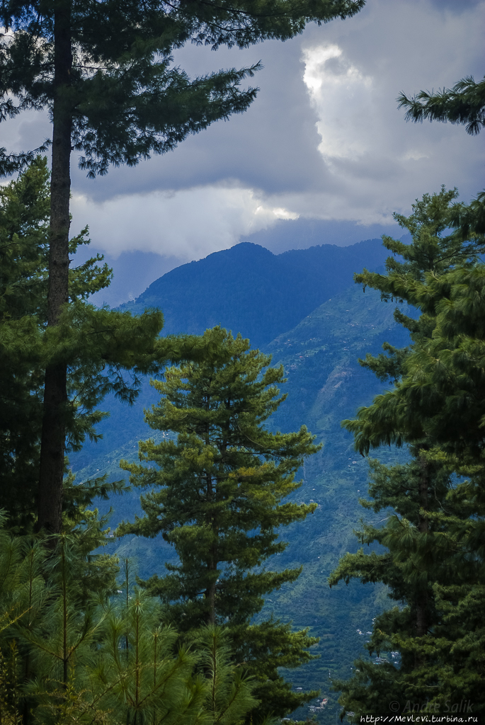 Восхождение к Храму Штат Химачал-Прадеш, Индия