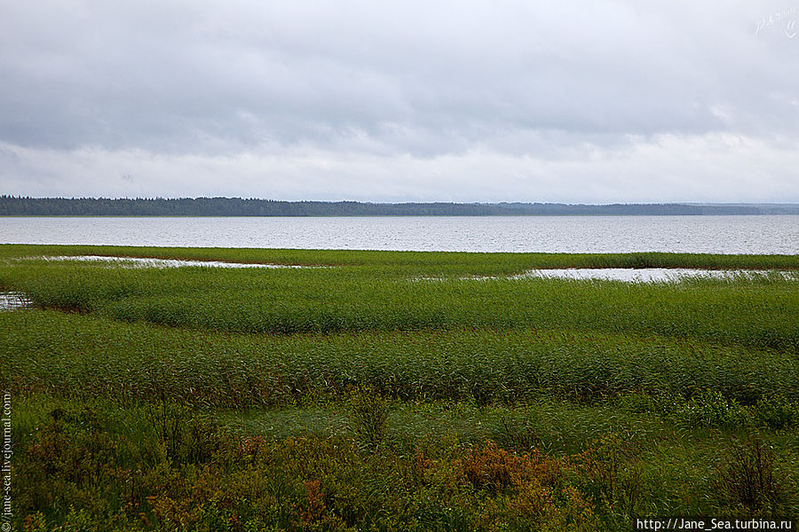 Берег Лекшмозера в деревне Морщихинская