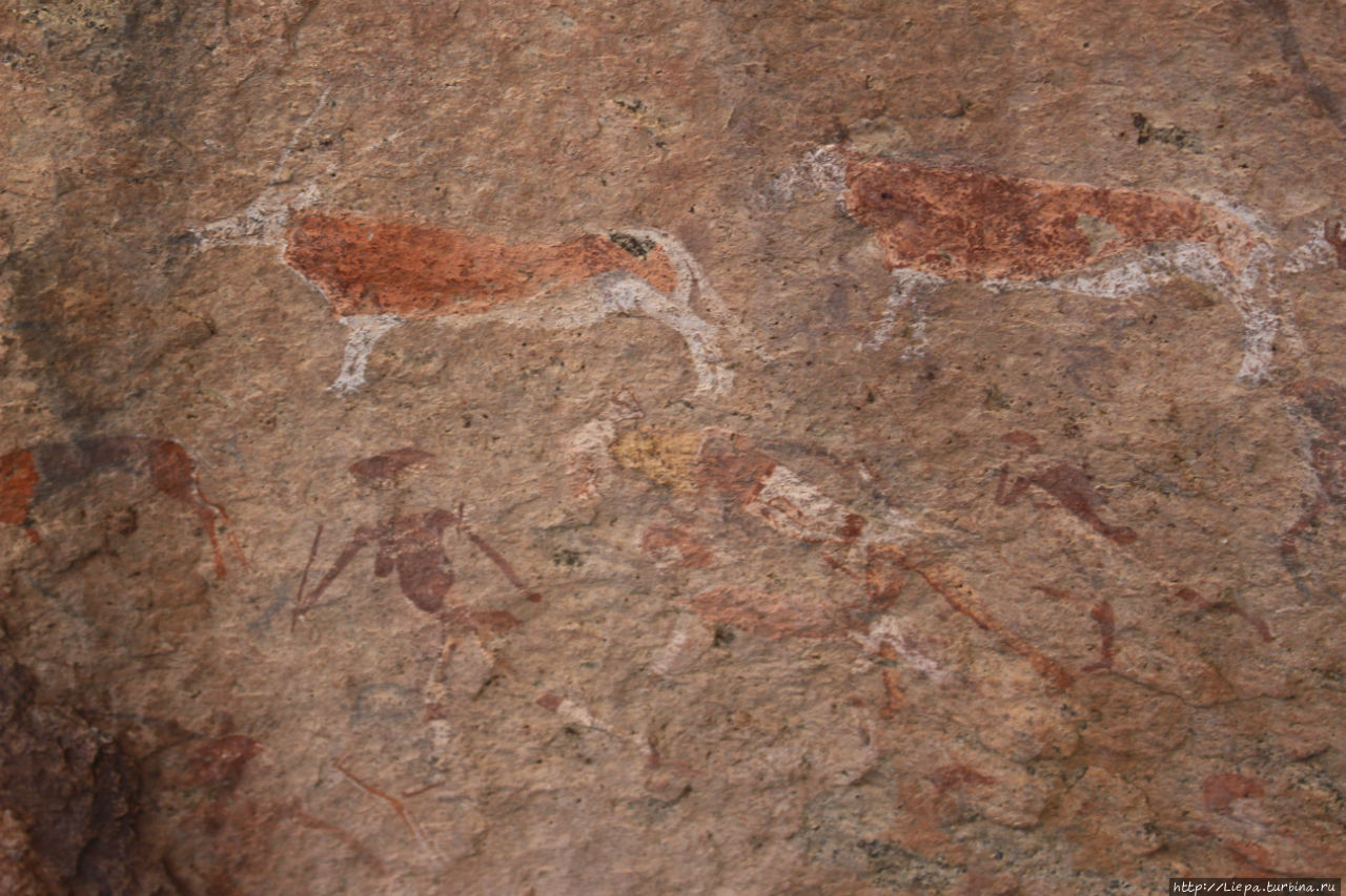 В Брандберге находится множество наскальных рисунков бушменов, которым больше 2000 лет. До рисунков надо идти около часа, после сидения в машине очень даже приятная прогулка. Каманжаб, Намибия