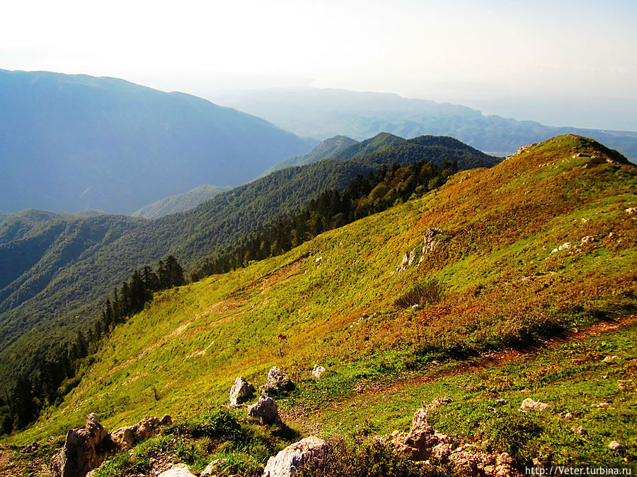 Альпийские луга Рица Реликтовый Национальный Парк, Абхазия