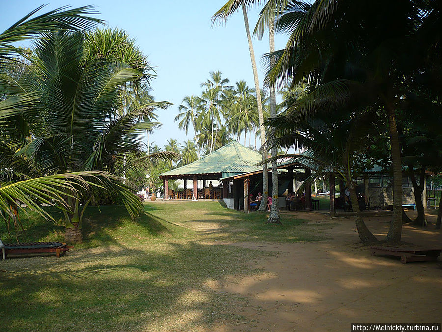 Villa Ocean View Ваддува, Шри-Ланка