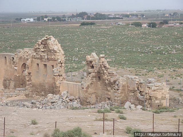 Развалины мечети. Харран, Турция