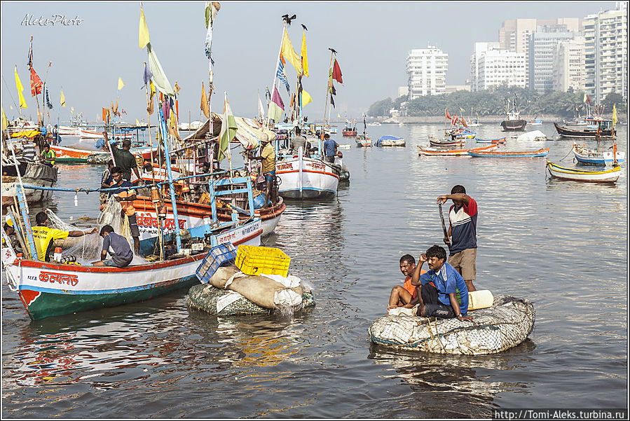 Не знаю уж точно по какой причине индийцы так старательно украшают всегда свои лодки, а также — трактора и прочие средства передвижения. Думаю, это как-то связано с религий, да и выглядит — весело...
* Мумбаи, Индия