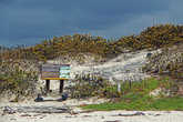 вдоль всего побережья расположились песчаные дюны, прогуляться по которым туристам не предлагается...