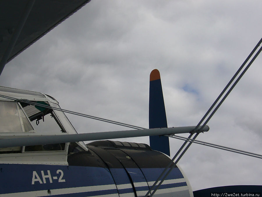 Небо — их дом Пушкин, Россия