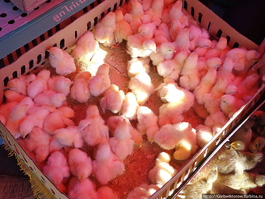 Город Салаван Салаван, Лаос