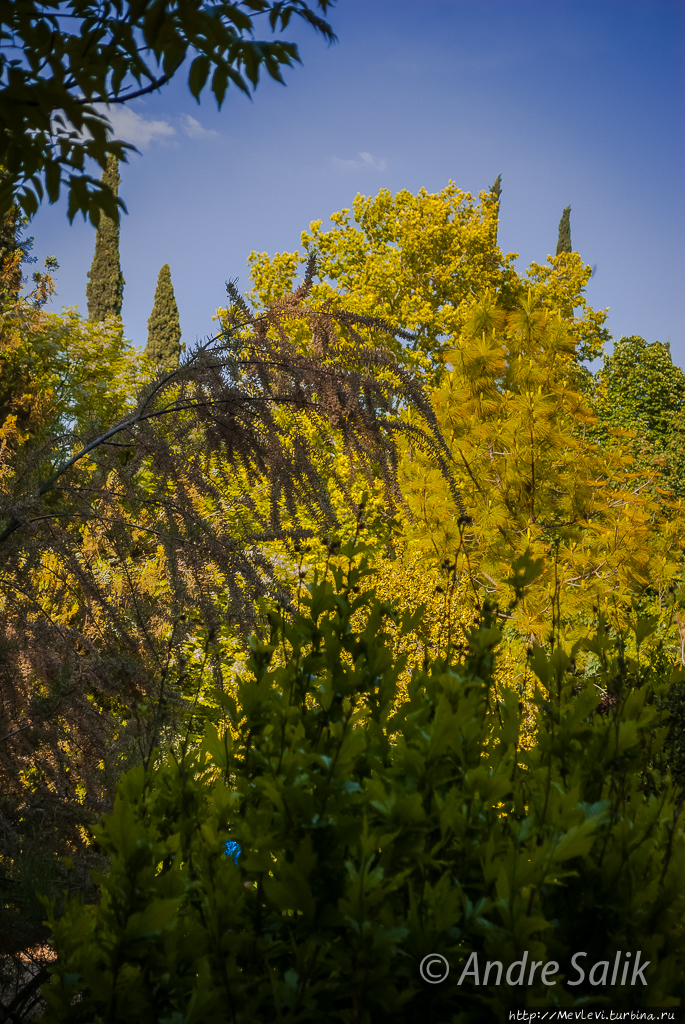 Шираз  сад Эрам Шираз, Иран