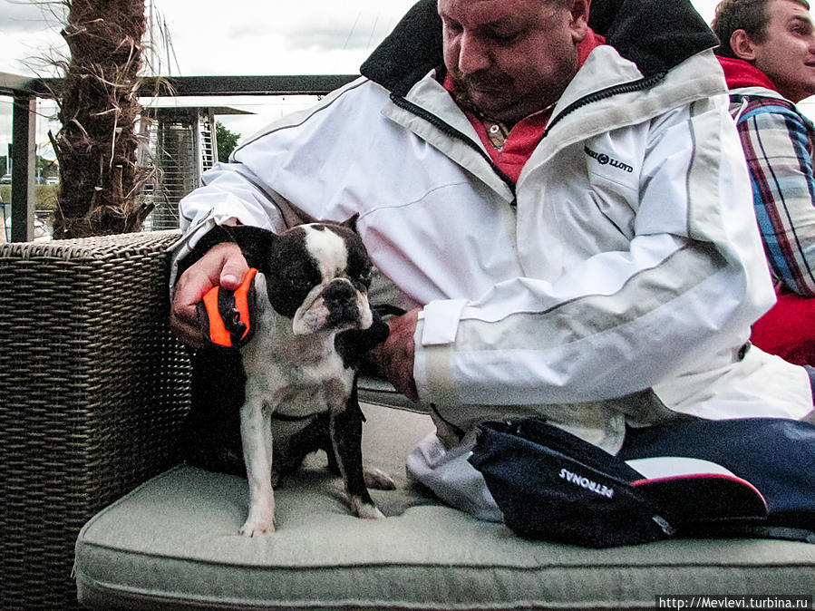 Приятное знакомство Рига, Латвия