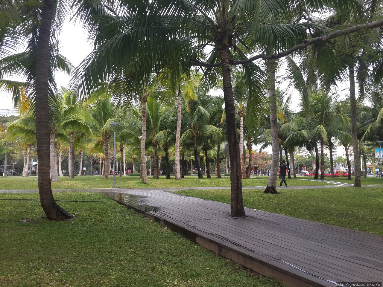 Санья. Февральское лето Санья, Китай