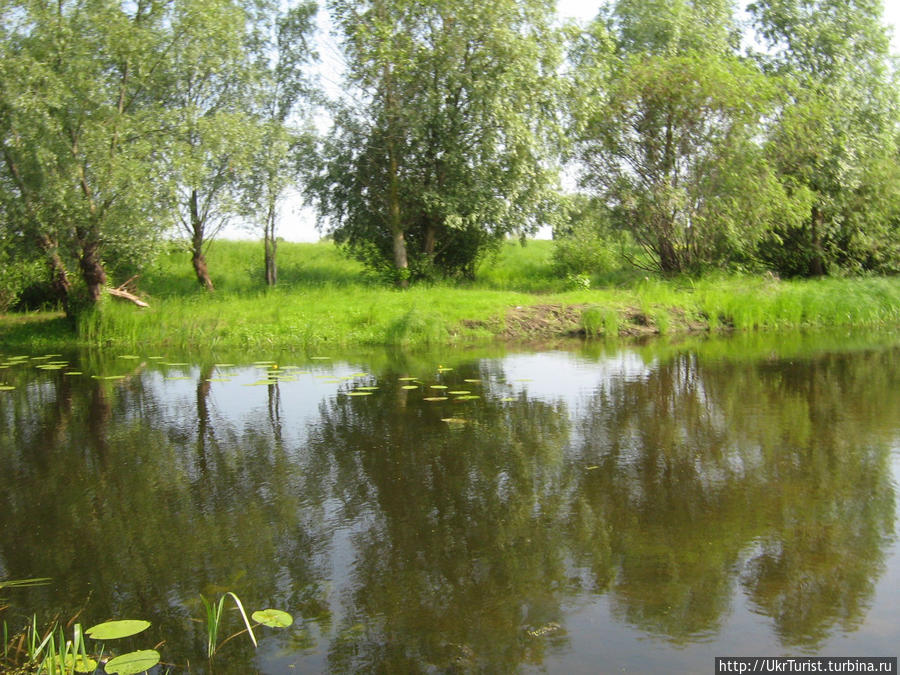 Озеро Солонецкое и живописные луга Черниговщины Остер, Украина