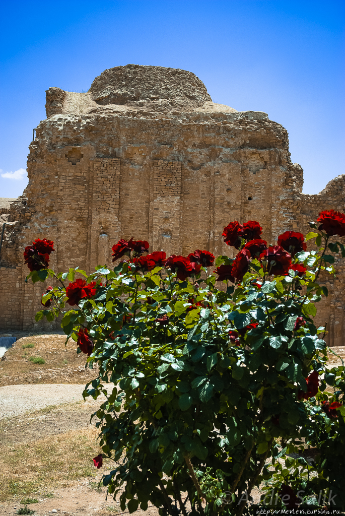 Древний зороастрийский храм. Иран. Шираз, Иран