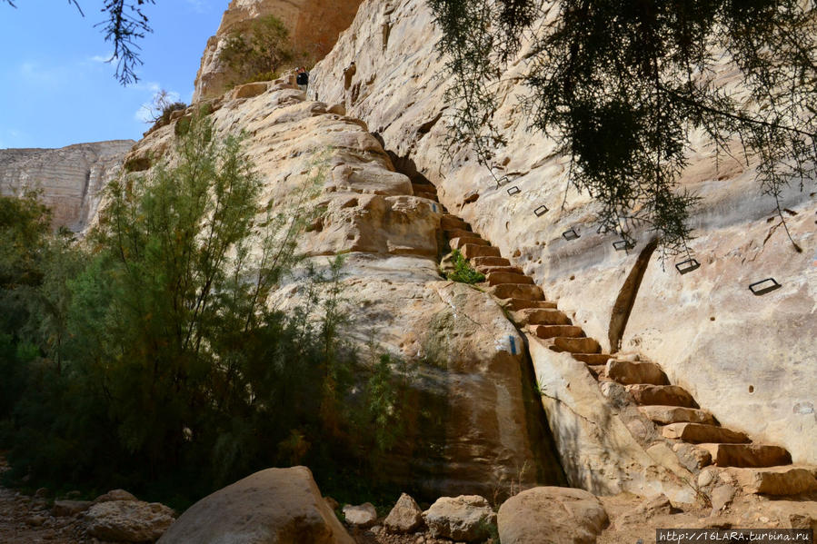 Прогулка по каньону Эйн-Авдат Эйн-Авдат Каньон, Израиль