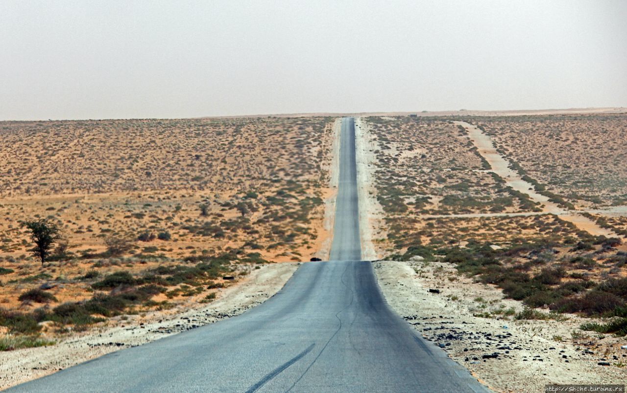 Мавритания. Три дня на знакомство Мавритания