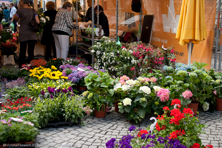 Миллион цветов Фельдкирх, Австрия
