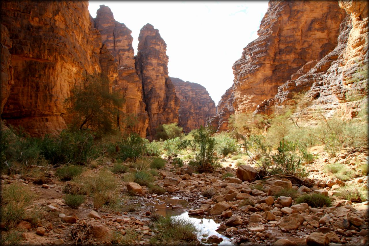 Алжирская Сахара, день пятый — Джанет и каньон в пустыне Джанет, Алжир