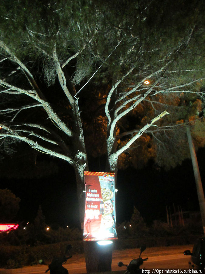 А это ресторан Пицца пицца подсветил дерево своей рекламой. Дидим, Турция