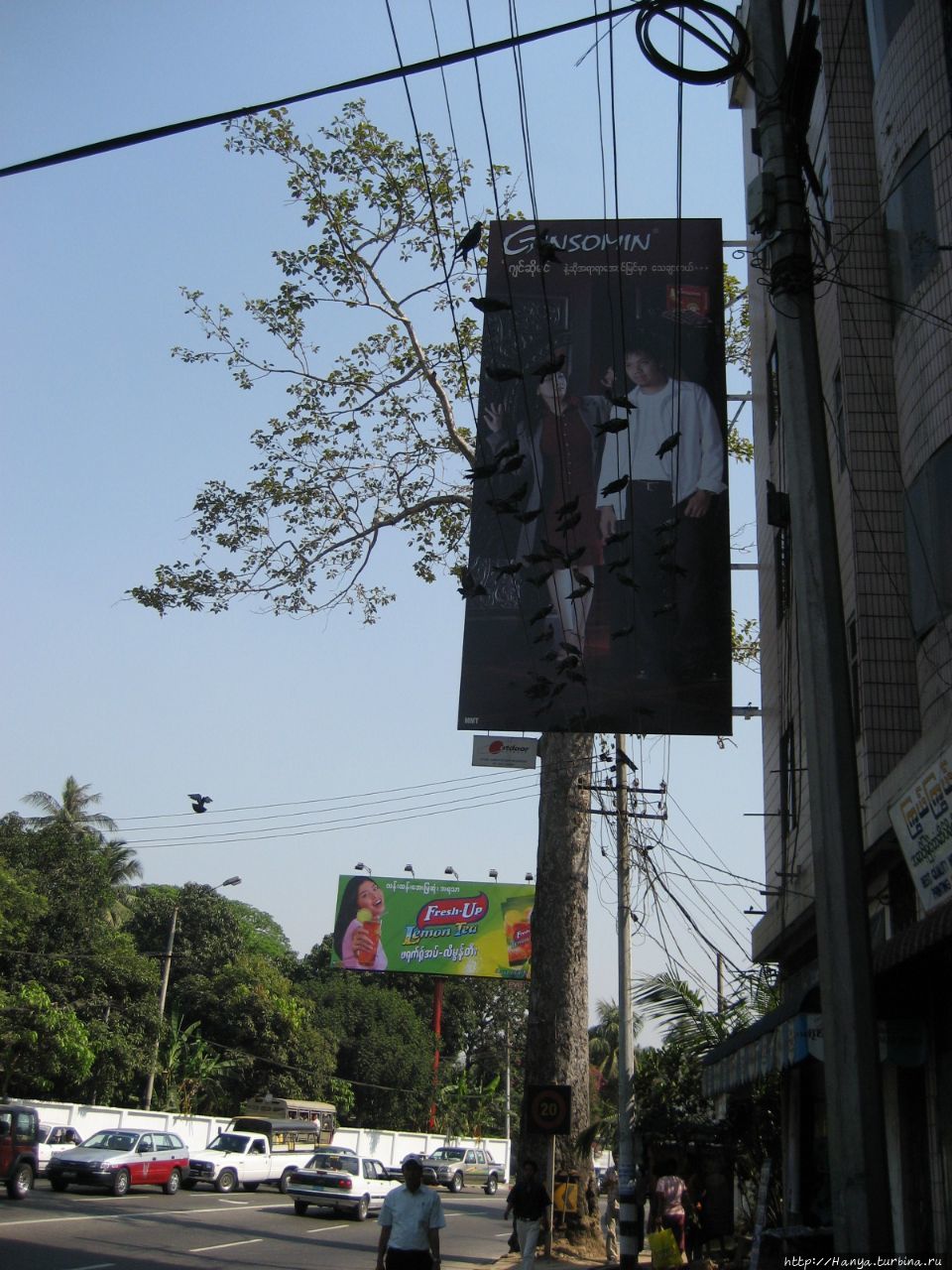 Реклама в Янгуне