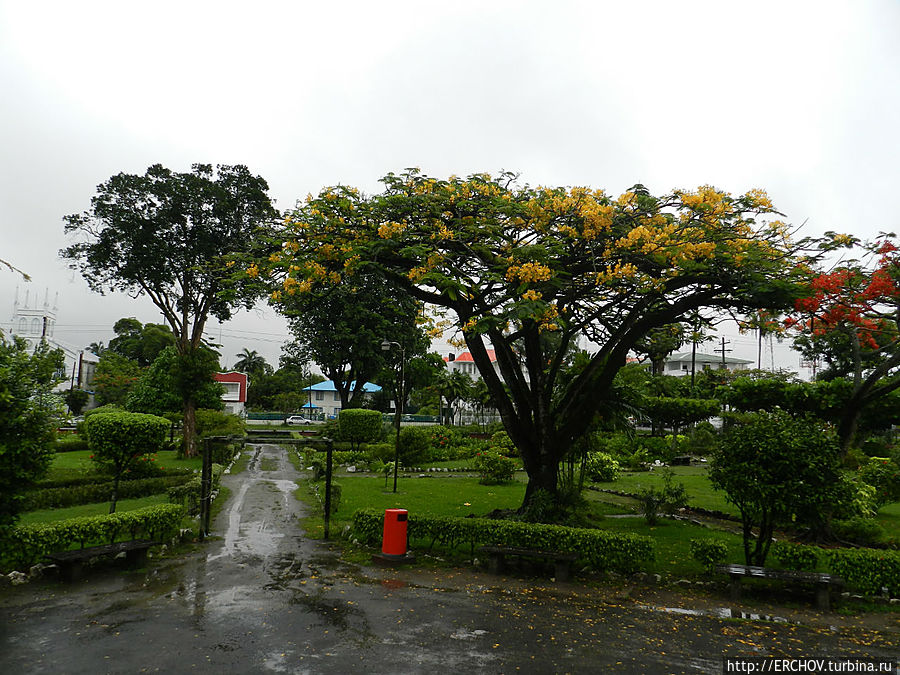 Ботанический сад Джоржтаун, Гайана