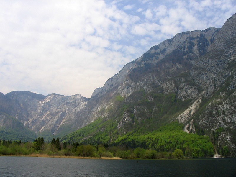 Бохиньское озеро / Bohinjsko jezero