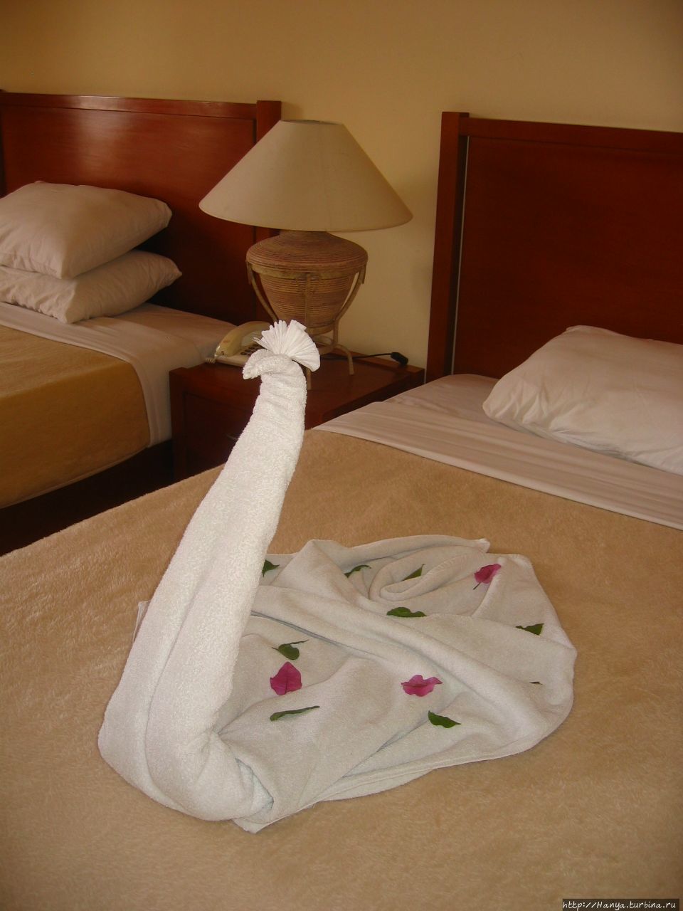 Приветственный лебедь в отеле Хургада, Египет