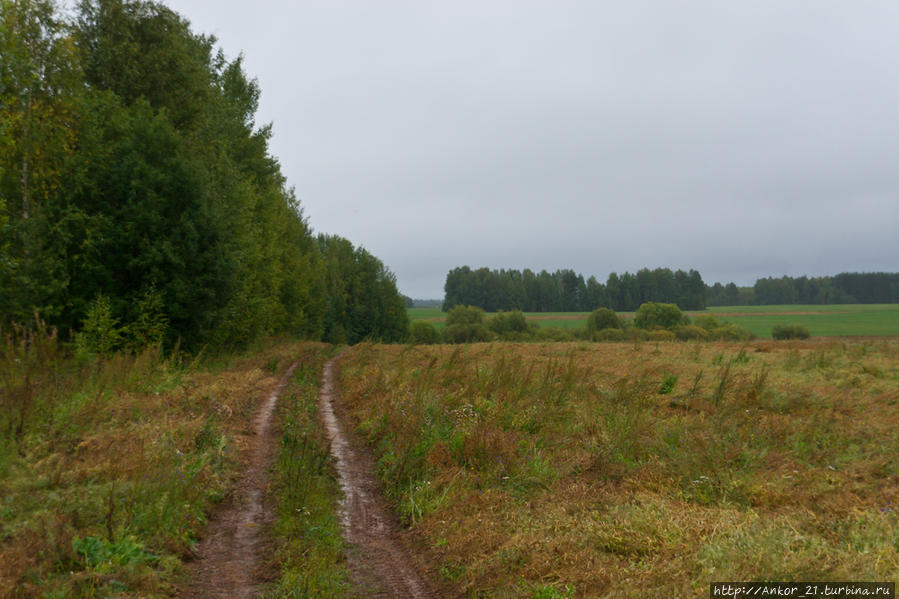 Яичники Киров, Россия