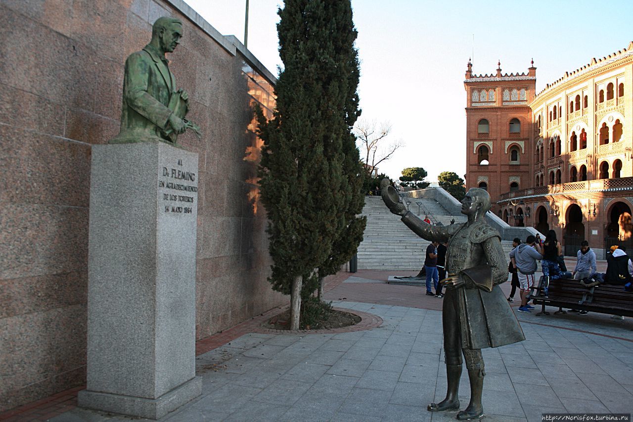 Памятник Александру Флемингу, открывшему пенициллин, от благодарных тореадоров, которые до его создания очень часто умирали от заражения крови. Мадрид, Испания