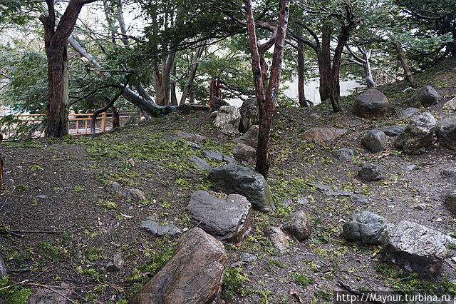 Парк, в котором есть небольшой уголок японского сада. Южно-Сахалинск, Россия