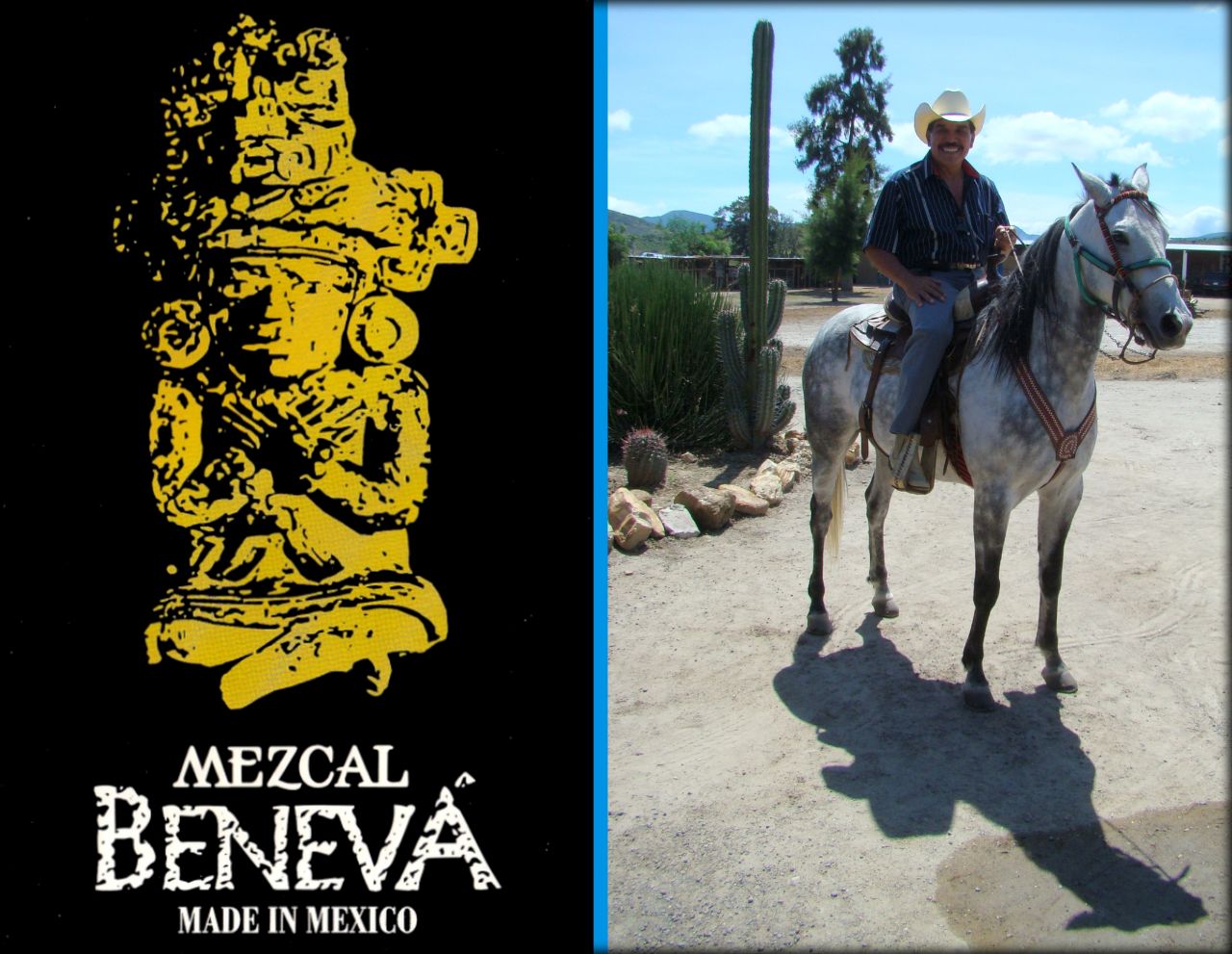 Большое путешествие по Мексике ч.4 — Оахака и Монте-Альбан