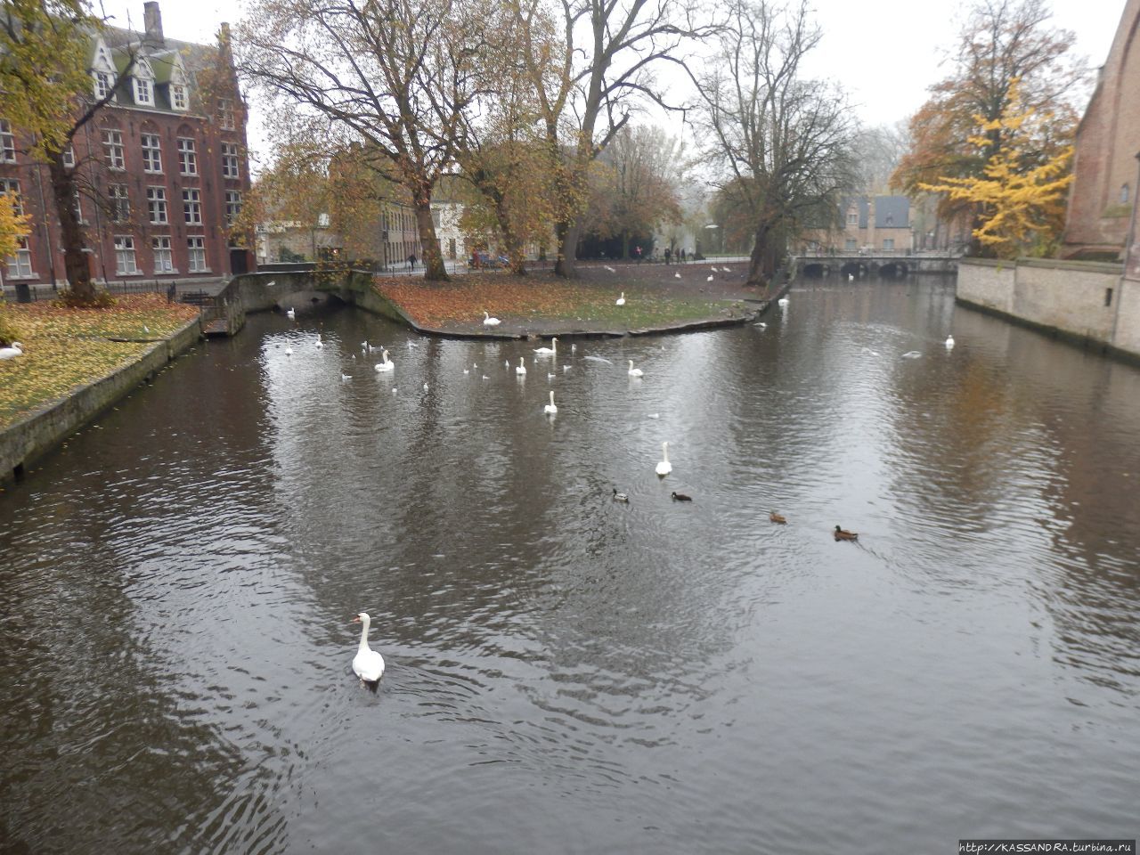 Романтичный Брюгге. Озеро Любви в парке Minnewater Брюгге, Бельгия