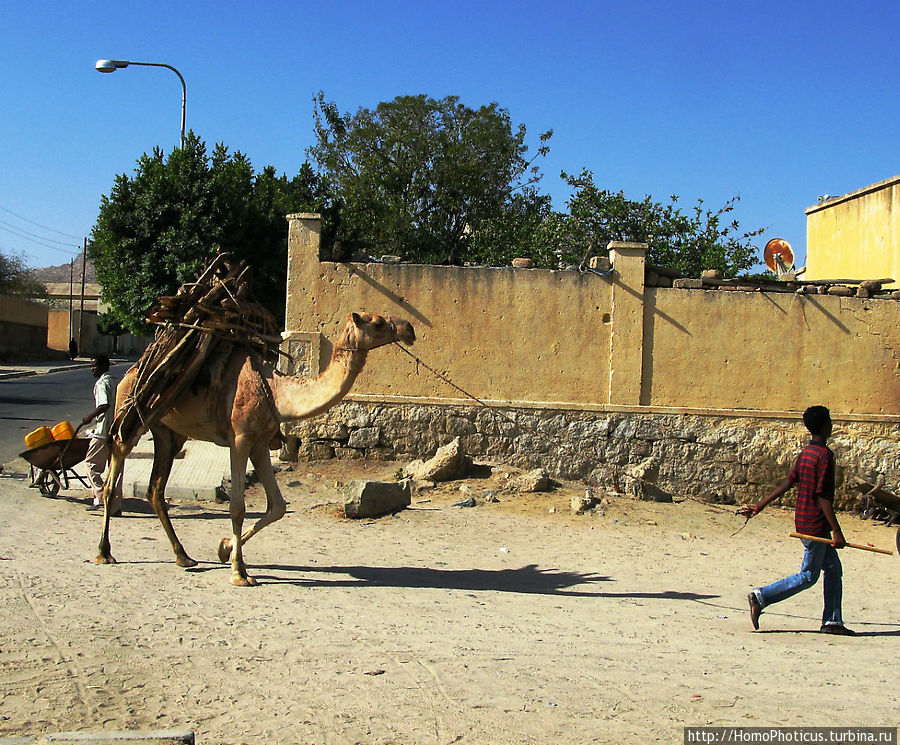 На улицах Кэрэна Кэрэн, Эритрея